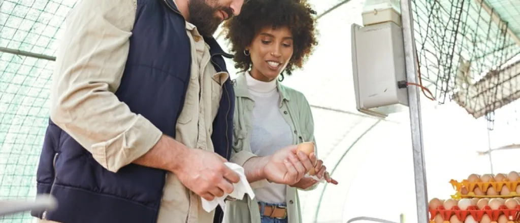 A man and woman stand next to each other and grade eggs in bulk under a dome-shaped, translucent structure.