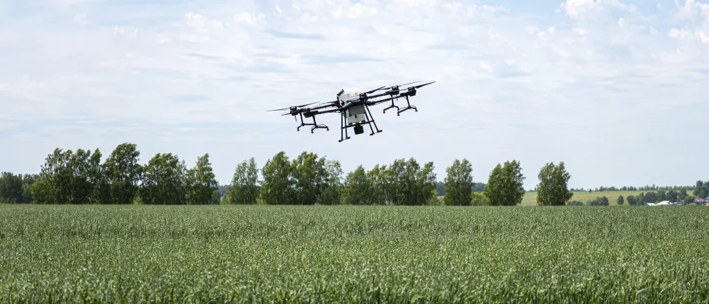 An unmanned aerial vehicle- also know as a UAV or drone - hovers or flies over an agricultural crop. Trees are in the background.
