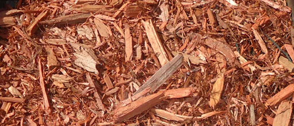 PROMO 660 x 440 Garden - Red Cedar Mulch - Wikimedia