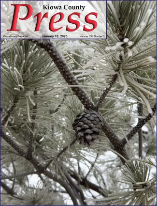 Pine cone nestled among ice-covered needles from freezing fog Saturday morning - Chris Sorensen.