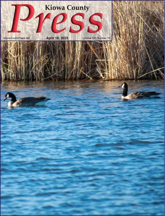 Photo of the week from the April 18, 2025, edition of the Kiowa County Press in Eads, Colorado -  Geese at Jackson's Pond - Chris Sorensen.