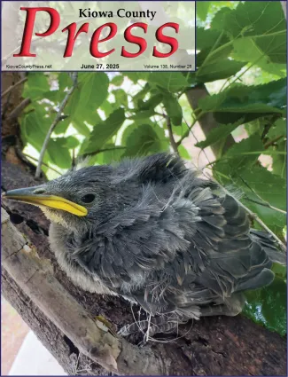 Photo of the week from the June 27, 2025, edition of the Kiowa County Press in Eads, Colorado -  A rescued Common Starling - Chris Sorensen.