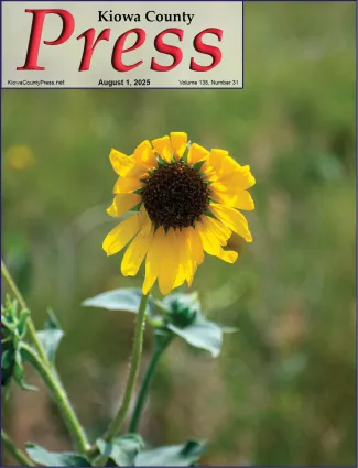 Photo of the week from the August 1, 2025, edition of the Kiowa County Press in Eads, Colorado -  Wild sunflower in Kiowa County, Colorado, showing some hints of stress on a hot day - Chris Sorensen.